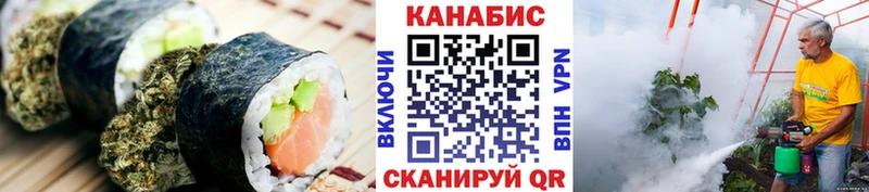 Cannafood конопля  Купить где  Менделеевск 